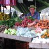 Turrialba farmer markey